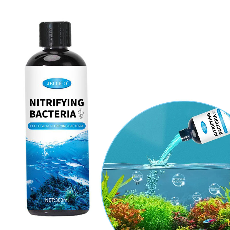 Bakterie nitryfikacyjne Płynny – Ocean Aquarium recenzja i cena