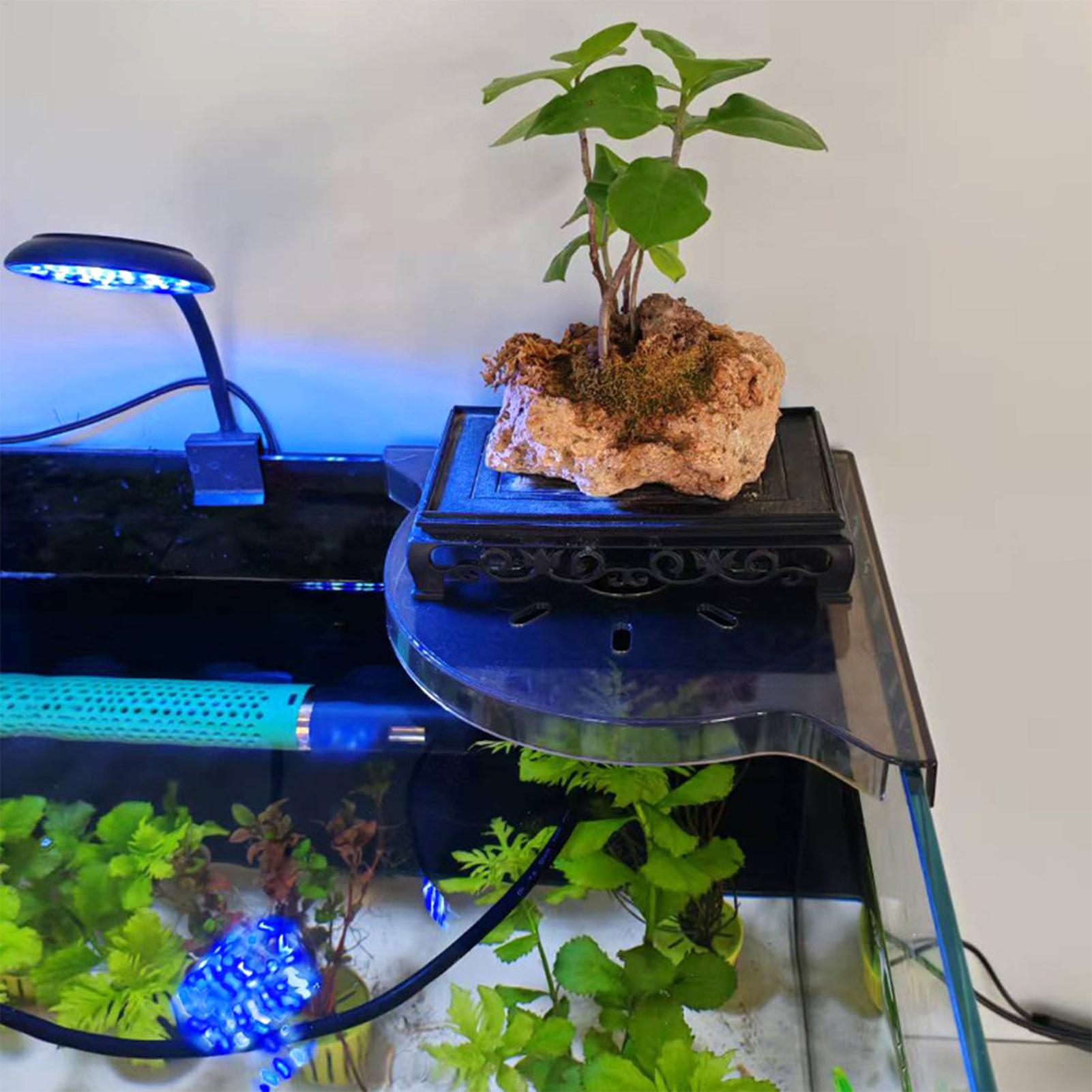 Trójkątny narożny regał do akw – Ocean Aquarium recenzja i cena