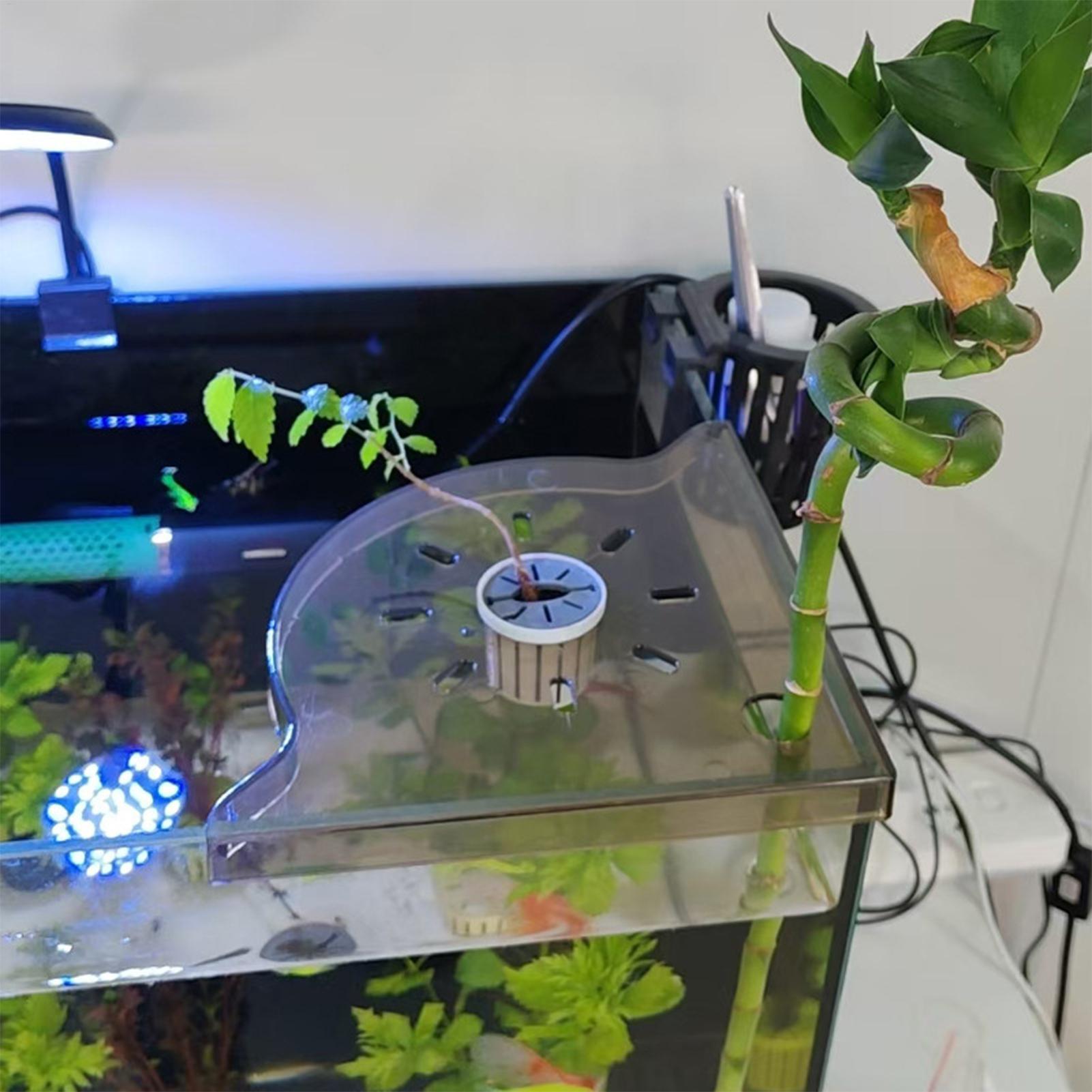 Trójkątny narożny regał do akw – Ocean Aquarium recenzja i cena