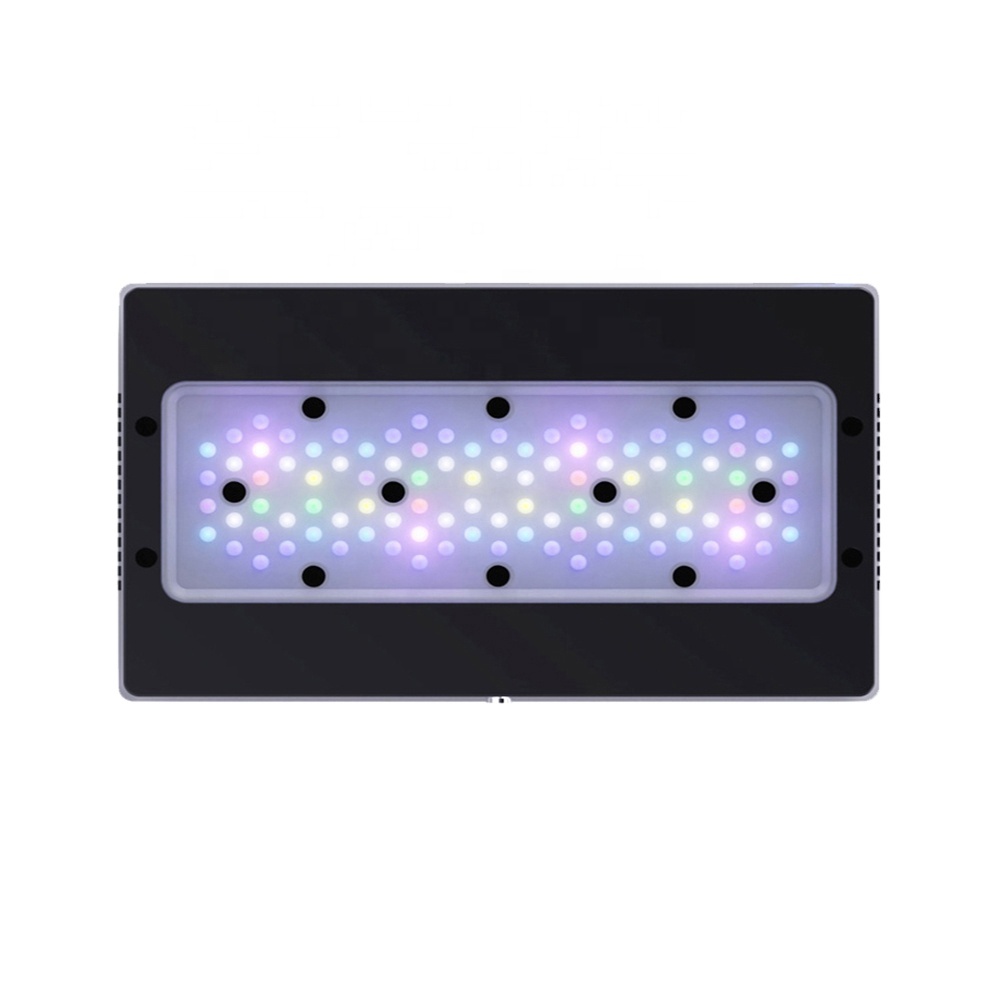 A8SE II Max i Blue 240W Pełnos – Marine Coral recenzja i cena