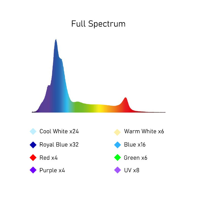 A8SE II Max i Blue 240W Pełnos – Marine Coral recenzja i cena