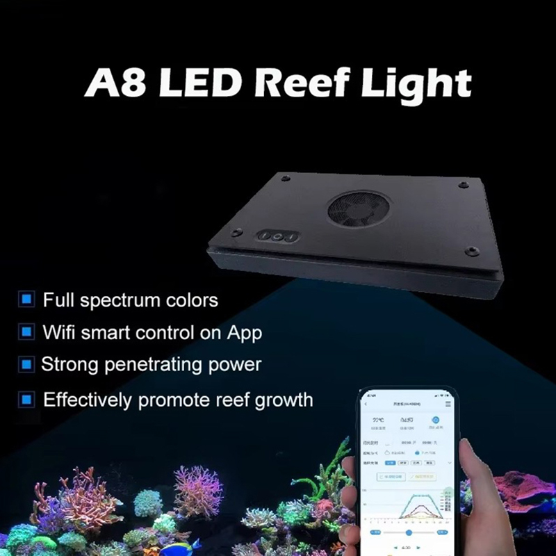 A8SE II Max/Blue 2.0 Generacja – Marine Coral recenzja i cena
